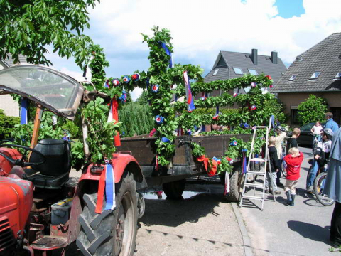 Bild